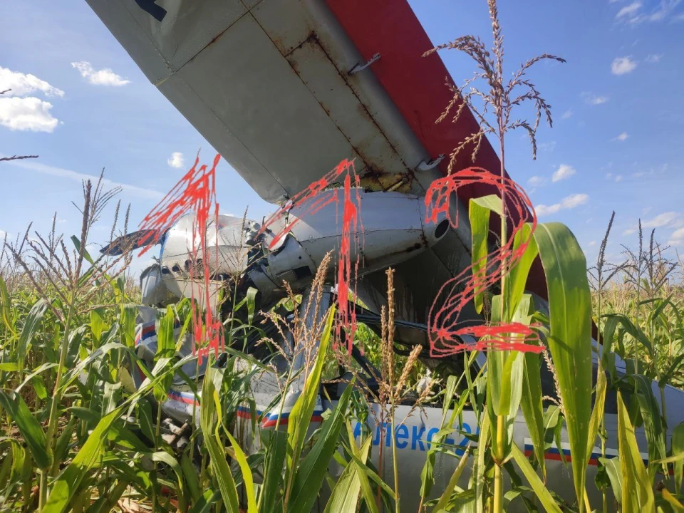 У Підмосков'ї розбився літак Ан-2