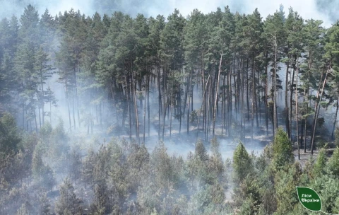 лісові пожежі