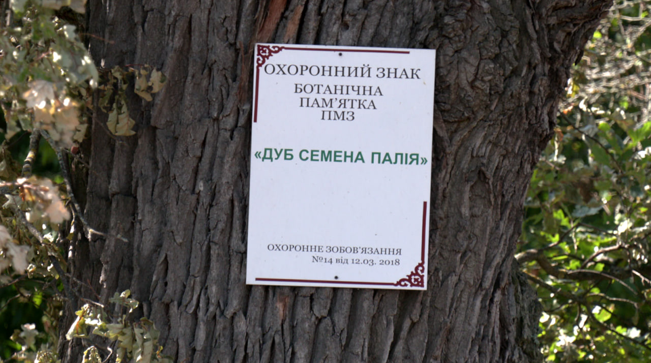 Еспресо: Біла Церква