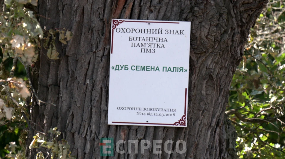 Еспресо: Біла Церква