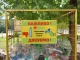 сортування сміття