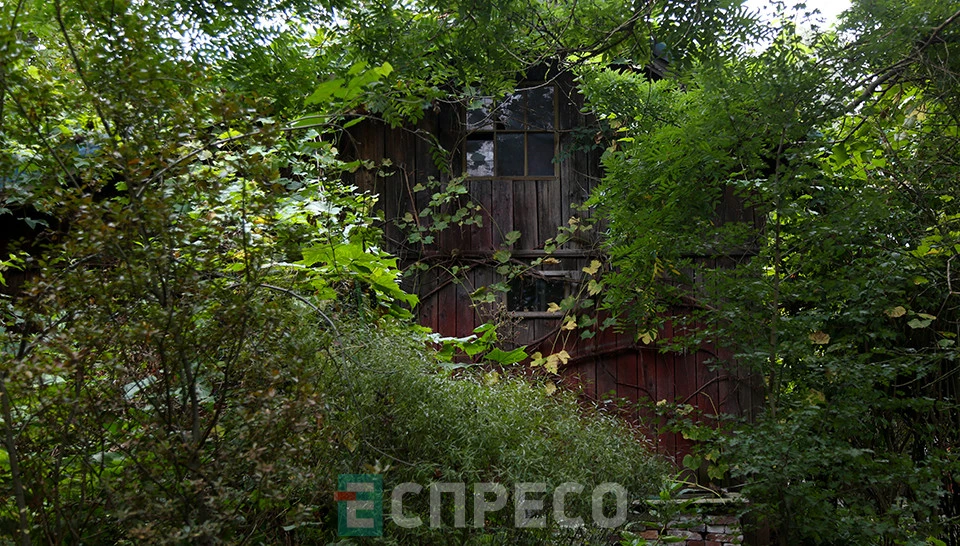сад лікарських рослин у Львові