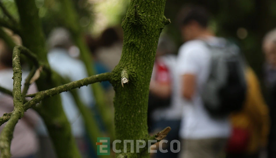 сад лікарських рослин у Львові