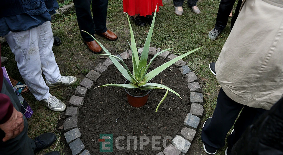 сад лікарських рослин у Львові