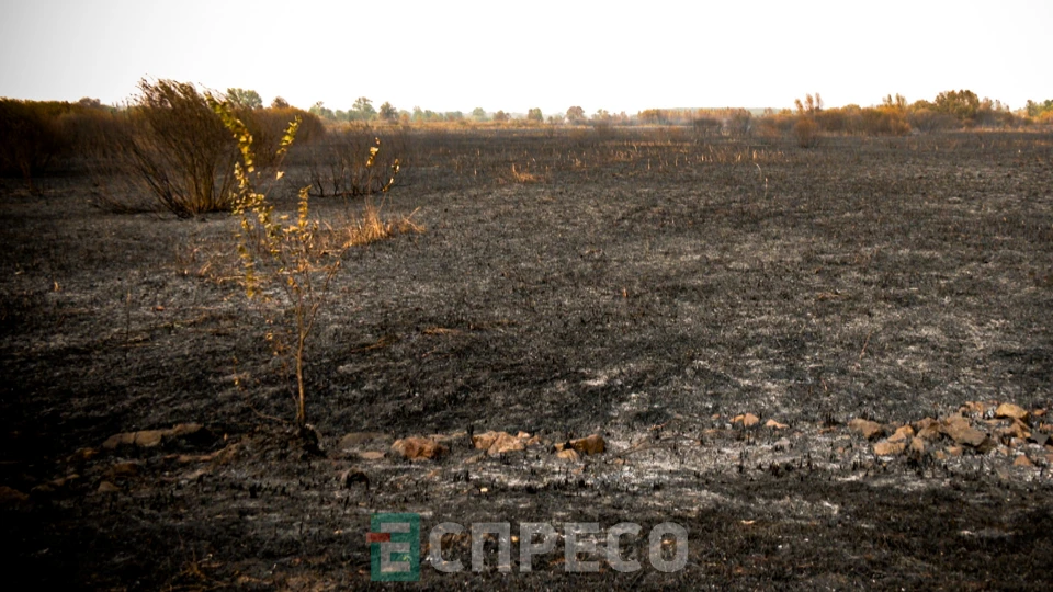 Еспресо: Біла Церква