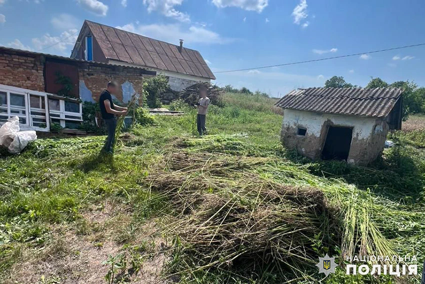 наркотики на присадибній ділянці