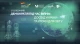 форум "Демократія під час війни: досвід України та уроки для світу"