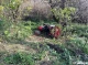 ДТП з трактором