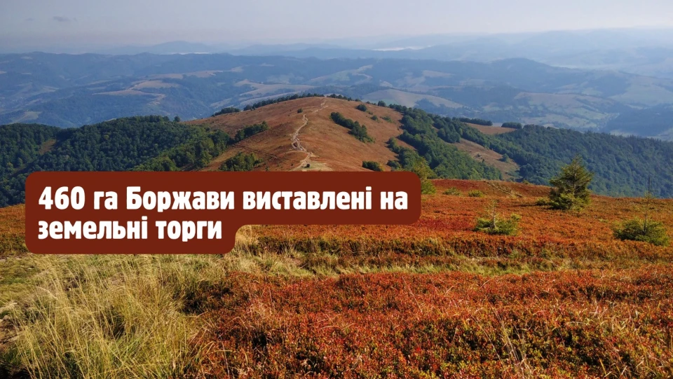 Боржава