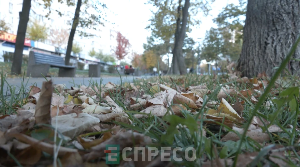 листя, осінь