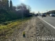 На Закарпатті 19-річний водій без посвідчення на смерть збив пішохода