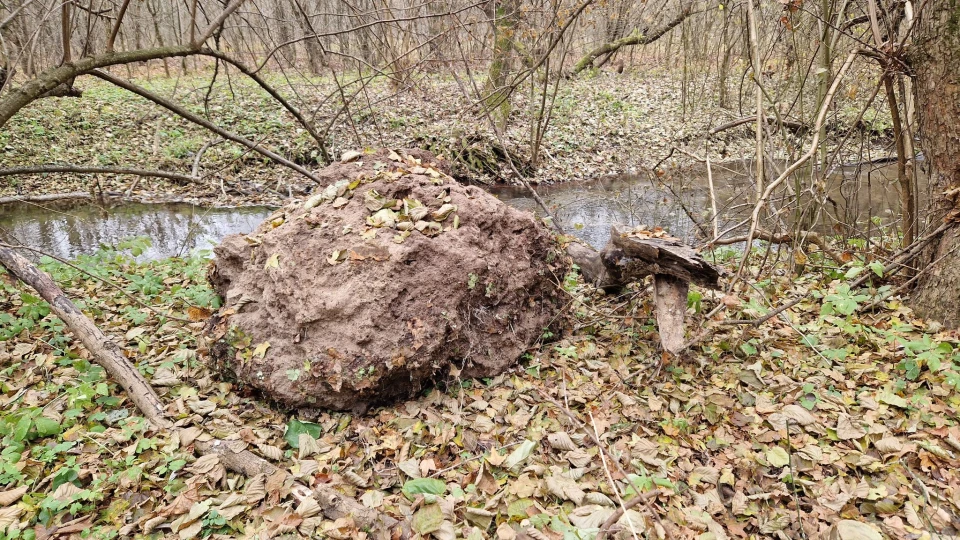 На Тернопільщині обвалилася скеля з водоспадом "Дівочі сльози"
