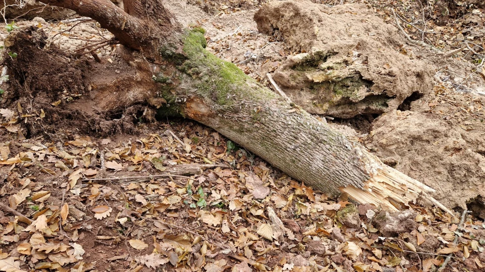 На Тернопільщині обвалилася скеля з водоспадом "Дівочі сльози"