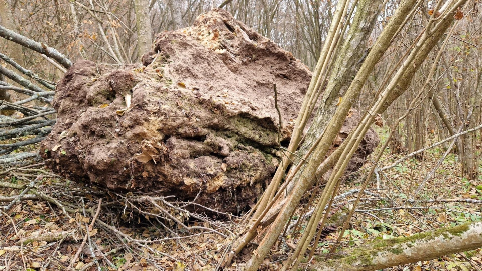 На Тернопільщині обвалилася скеля з водоспадом "Дівочі сльози"