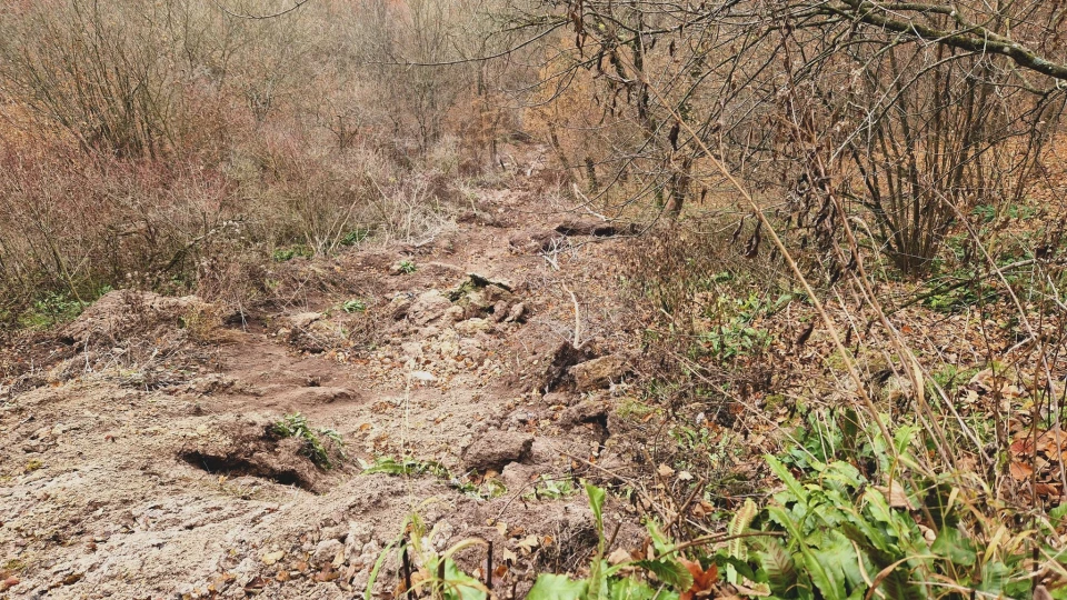 На Тернопільщині обвалилася скеля з водоспадом "Дівочі сльози"