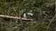 Еспресо: Біла Церква