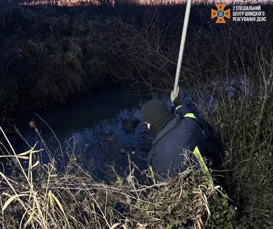 Неподалік Дрогобича на Львівщині у річці знайшли тіло чоловіка