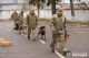 кінологи