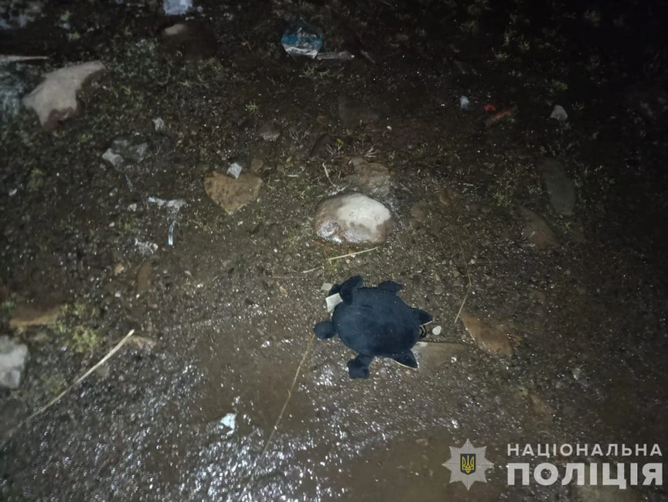 На Закарпатті п'яний водій наїхав на 7-річну дівчинку: її госпіталізували