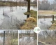 Державна екологічна інспекція Столичного округу