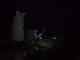 На Бурштинському водосховищі виявили плями: проводять дослідження