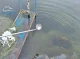На Бурштинському водосховищі вміст нафтопродуктів у сім разів перевищив норму