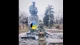 пам'ятник Шевченку у Новогродівці