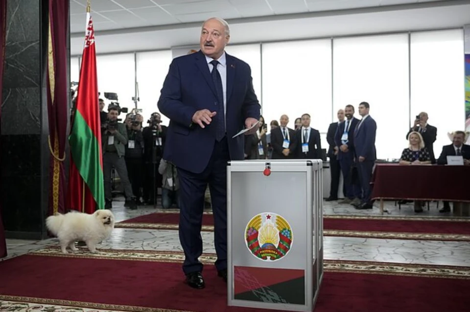 Олександр Лукашенко та його шпіц Умка на так званих президентських виборах (26 січня 2025 року)