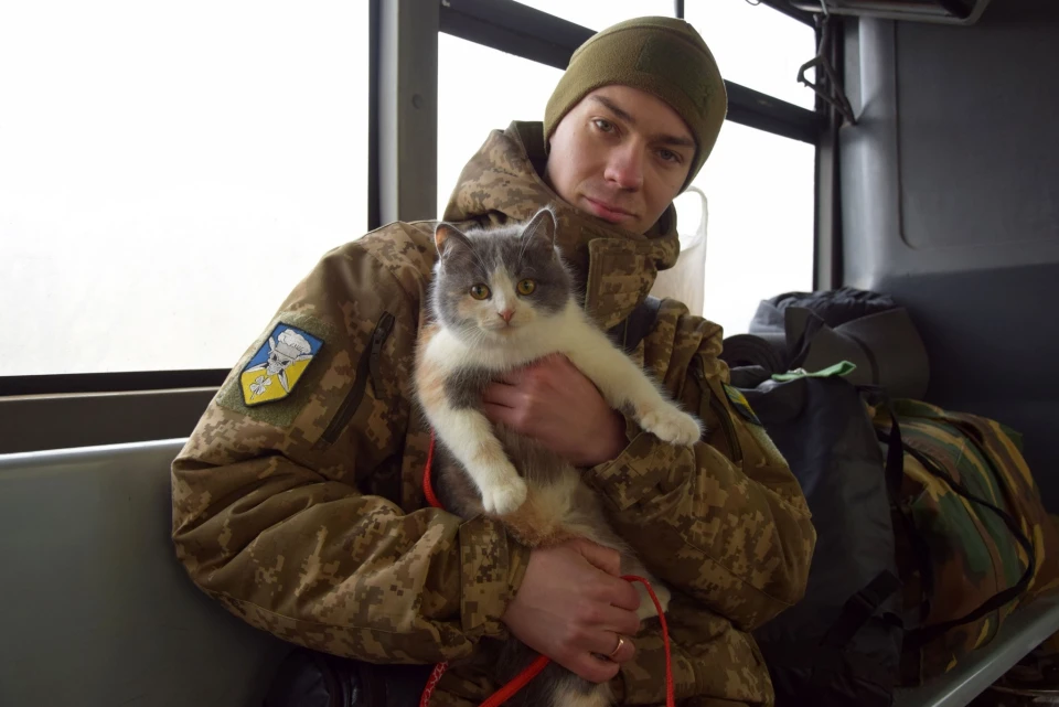 "Як я міг її там лишити?" – прикордонник вилікував і привіз із фронту на Волинь кішку