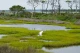 болота