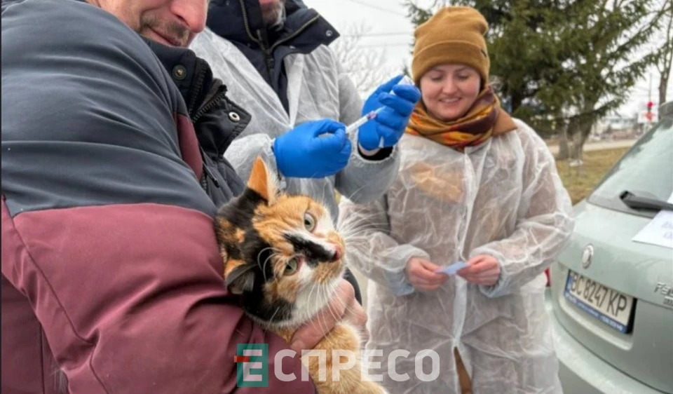 вакцинація тварин у Рясне-Руському