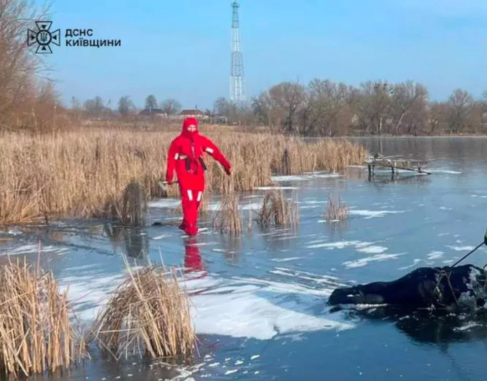 ДСНС Київщини