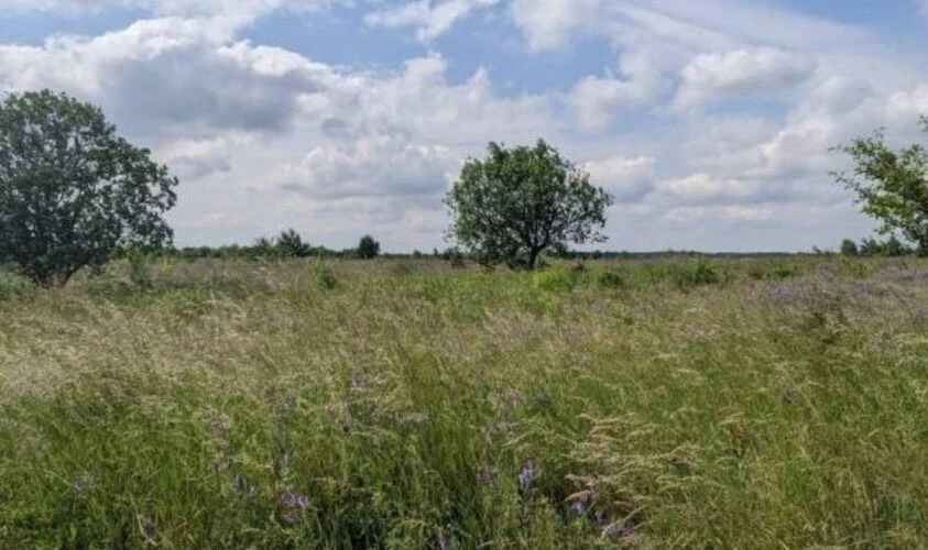 еко_Львів