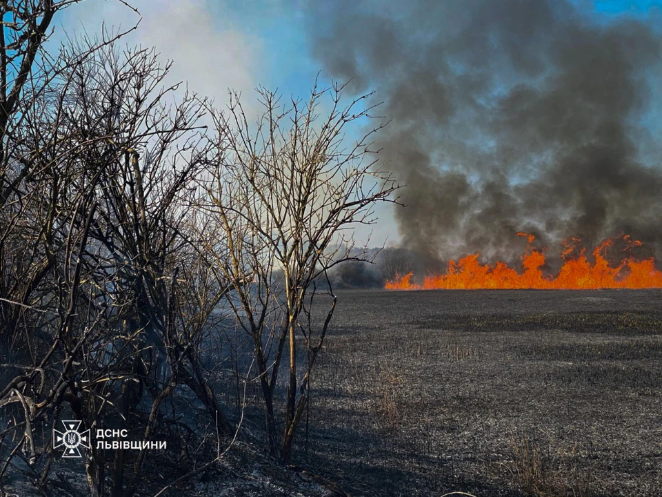 пожежі сухостою на Львівщині