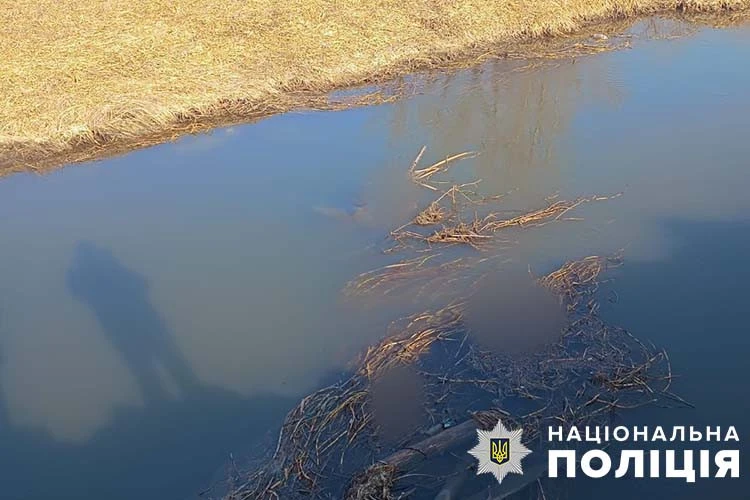 тіло у Золотій Липі