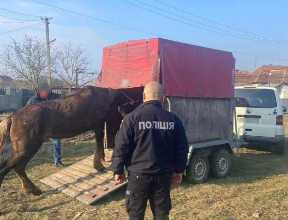 На Закарпатті затримали чоловіка, який знущався з коня
