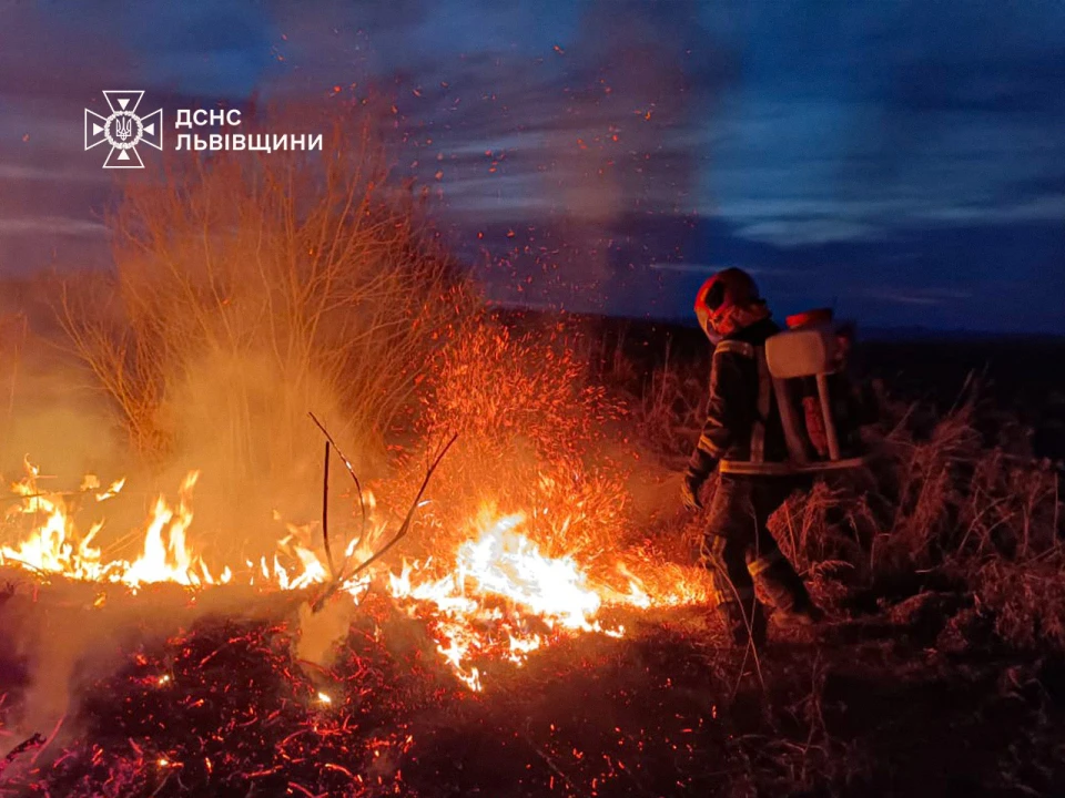 пожежа сухостою на Львівщині