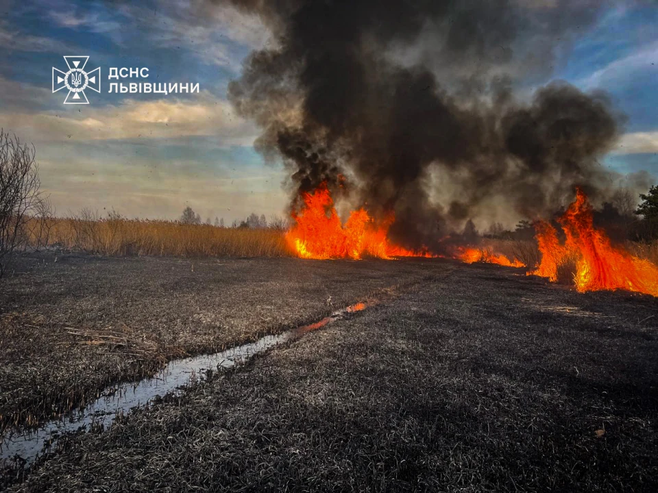 пожежа сухостою на Львівщині