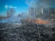пожежа сухостою на Львівщині
