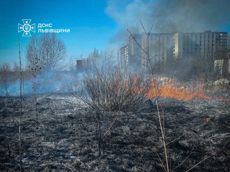 пожежа сухостою на Львівщині