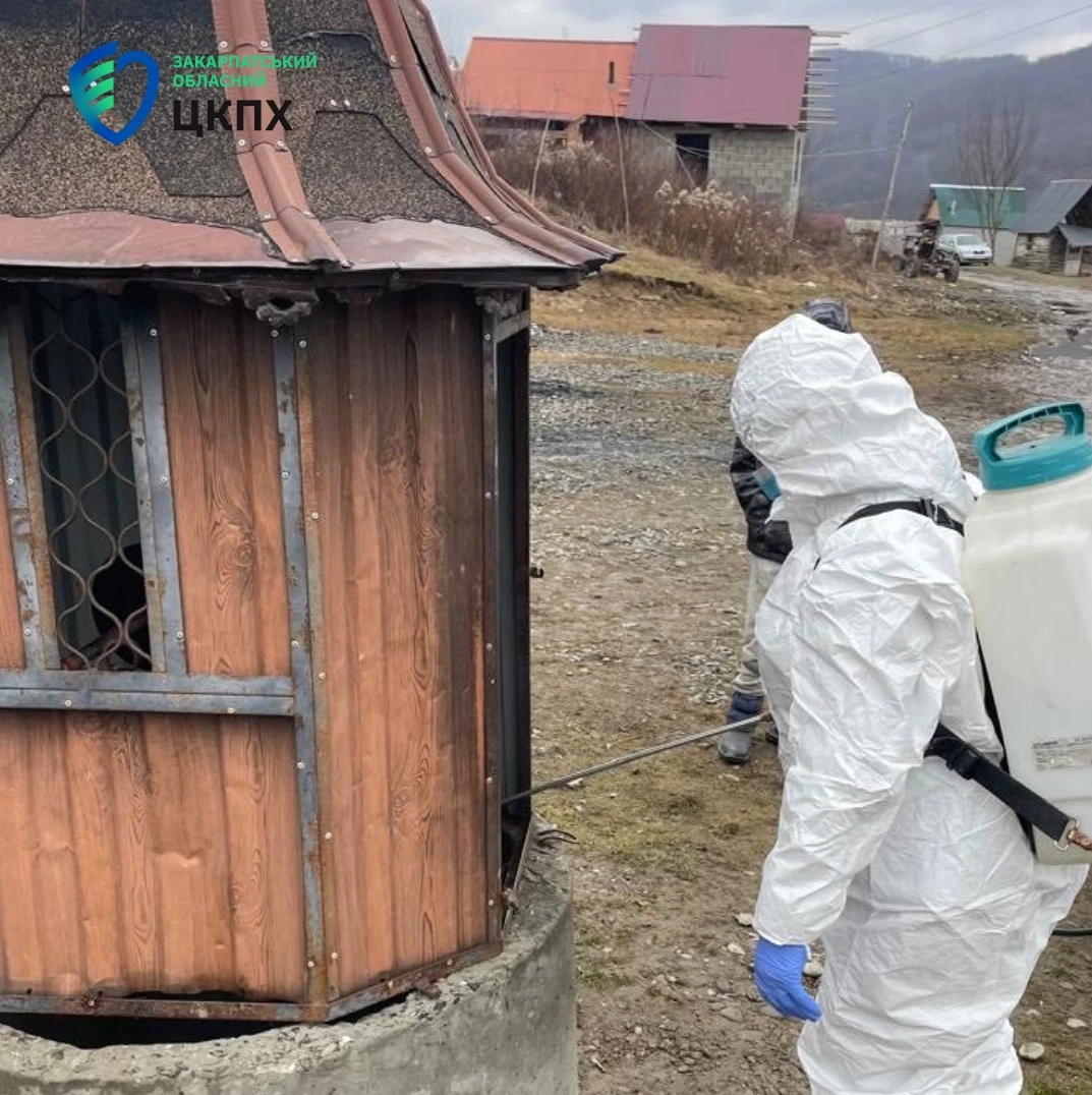 Шигельоз на Закарпатті