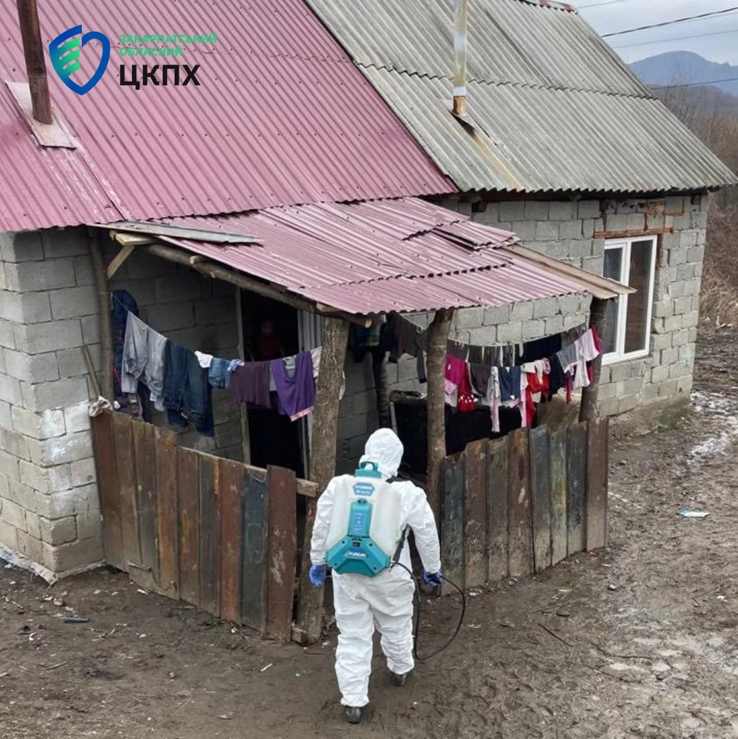 Шигельоз на Закарпатті