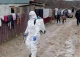 Шигельоз на Закарпатті
