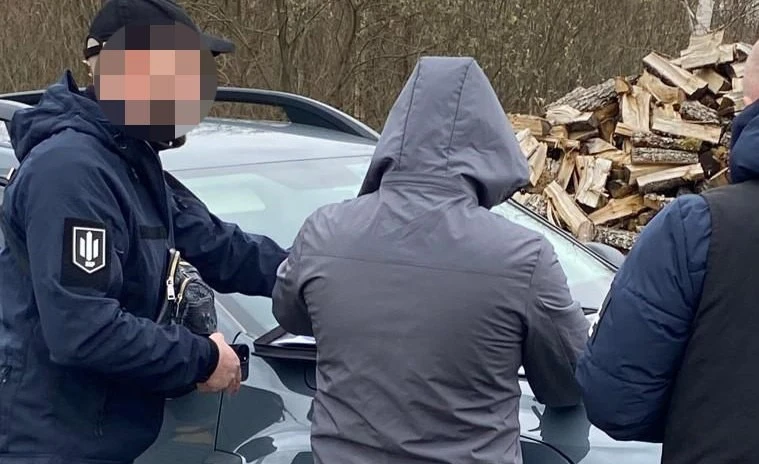лісова мафія на Волині