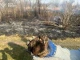 Волинські рятувальники на згарищі сухостою знайшли двох зайченят