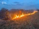 На Волині через пожежі сухостою за добу вигоріло 19 га землі