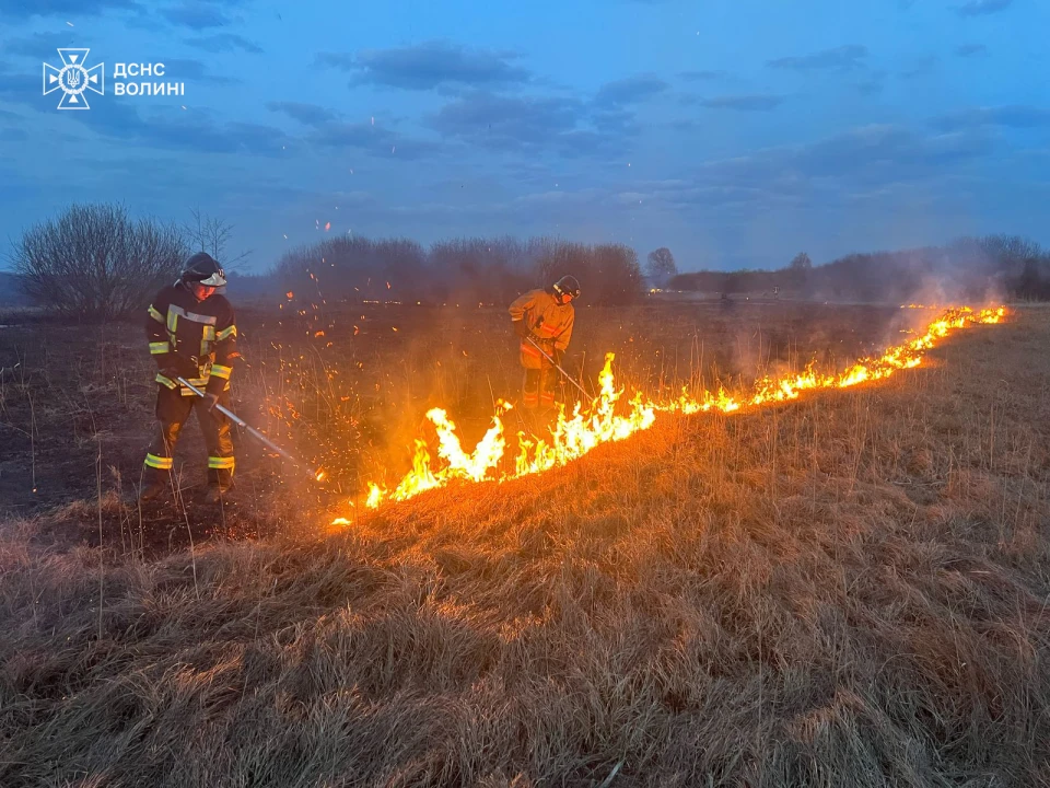 На Волині через пожежі сухостою за добу вигоріло 19 га землі