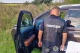 Нарубали дерев на 3,3 млн грн: на Тернопільщині судитимуть злочинну групу