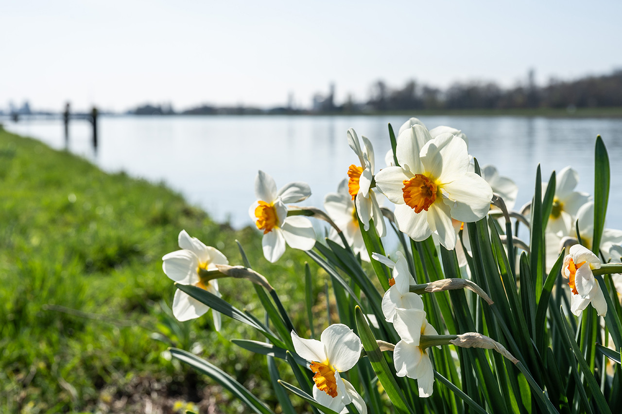 Місцями до +14°C, але із дощами: Наталка Діденко розповіла, якою буде погода на Великдень