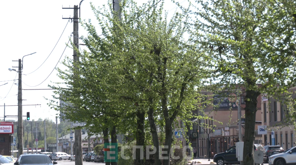 зелені зони
